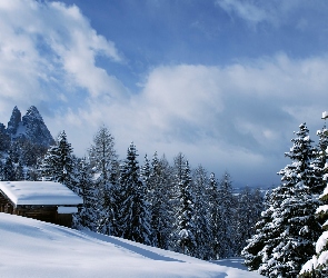 Domek, Dolomity, Włochy, Świerki, Val Gardena, Zima, Lasy