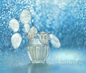 Suche, Bokeh, Wazonik, Rośliny, Miesiącznica roczna