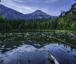 Drzewa, Zmierzch, Jezioro, Góry, Las, Liście