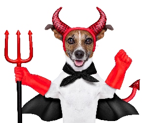 Śmieszne, Diabeł, Jack Russell terrier, Przebranie