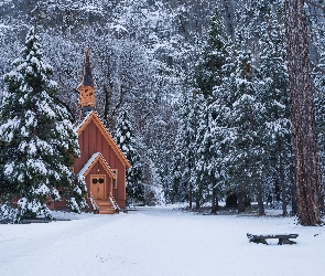 Kaplica, Ławeczka, Drzewa, Zima, Stany Zjednoczone, Park Narodowy Yosemite, Las, Stan Kalifornia, Kościółek