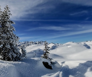 Śnieg, Góry, Zima, Drzewo