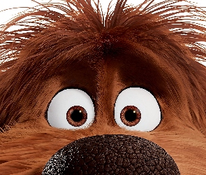 Kudłaty, Sekretne życie zwierzaków domowych, Duke, Film animowany, Nos, Pies, Oczy, The Secret Life of Pets
