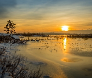 Jezioro Glafsfjorden, Szwecja, Drzewo, Wschód słońca, Zima