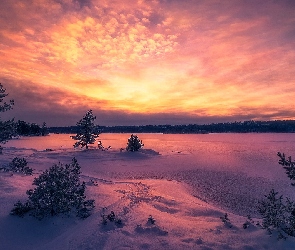 Zima, Zachód słońca, Drzewa