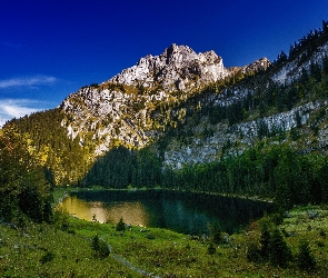 Góra Oltschiburg, Szwajcaria, Jezioro, Drzewa