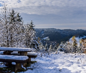 Drzewa, Ławka, Zima