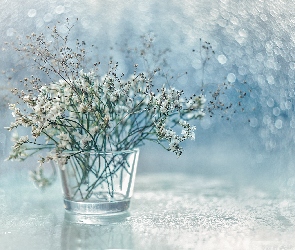 Suche, Bokeh, Wazonik, Rośliny, Dekoracja