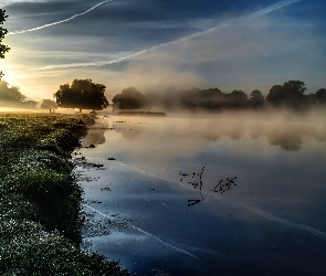 Drzewa, Wschód słońca, Jezioro, Mgła