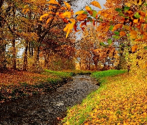 Jesień, Drzewa, Las, Rzeka