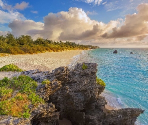 Skały, Morze, Bermudy, Plaża Warwick Long Bay