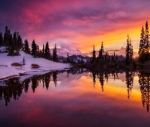 Stan Waszyngton, Zachód Słońca, Stany Zjednoczone, Jezioro, Zima, Park Narodowy Mount Rainier, Drzewa, Góry