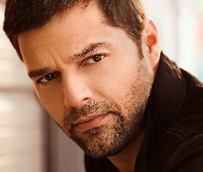 Piosenkarz, Ricky Martin