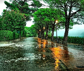 Włochy, Deszcz, Ulica, Drzewo, Toscolano-Moderno