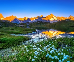 Alpy Graickie, Łąka, Jezioro, Mont Blanc