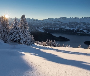 Szwajcaria, Zima, Świerki, Alpy, Promienie słońca, Góry