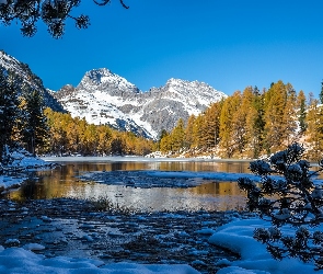 Jezioro, Śnieg, Drzewa, Góry, Zima