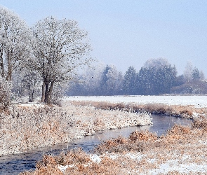 Zaśnieżone, Szron, Rzeka, Drzewa, Zima