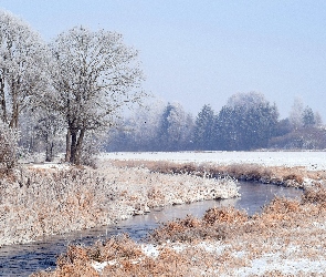 Zima, Szron, Drzewa, Rzeka, Zaśnieżone