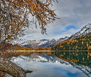 Jezioro, Las, Drzewa, Góry, Jesień