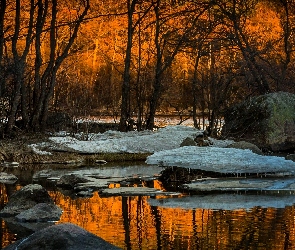 Śnieg, Kamienie, Las, Rozlewiska