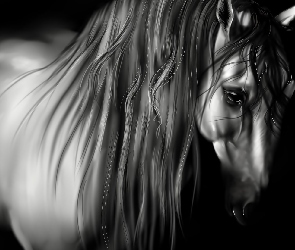 Koń, Grafika 3D
