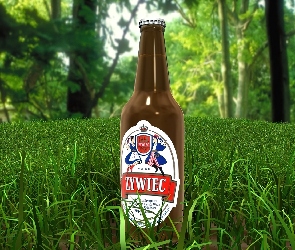 Piwo Żywiec, trawa, Piwo