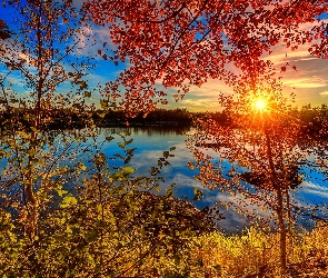Kanada, Drzewa, Jezioro, Promienie słońca, Nowy Brunszwik
