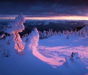 Wschód Słońca, Las, Mont Ventoux, Zima, Prealpy Francuskie, Francja, Góry