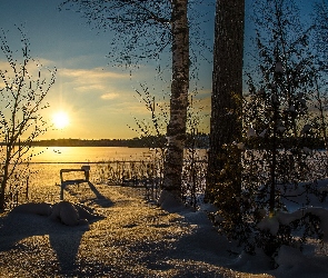 Zima, Śnieg, Jezioro, Słońce, Drzewa