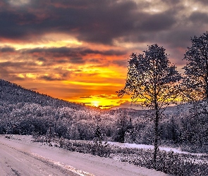 Góry, Wyspa Senja, Norwegia, Drzewo, Zachód słońca, Lasy, Zima, Droga