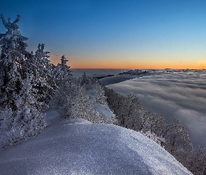 Zima, Mgła, Drzewa, Śnieg, Wzgórze
