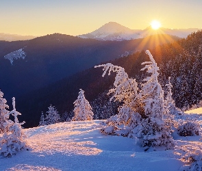 Góry, Wschód słońca, Las, Drzewa, Zima