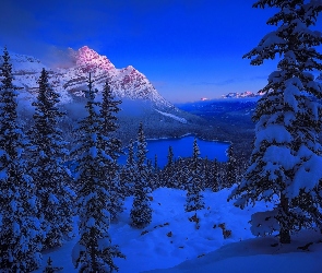 Jezioro Peyto, Zima, Kanada, Świerki, Drzewa, Park Narodowy Banff, Zmierzch, Góry