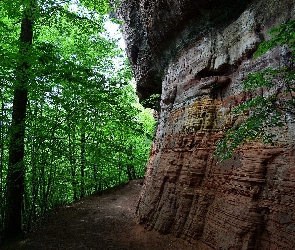 Drzewa, Ścieżka, Skały