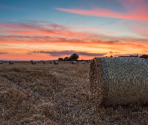 Zachód słońca, Bele, Coxwold, Anglia, Pole, Siano