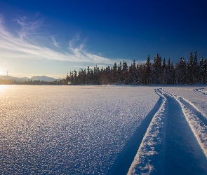 Las, Wschód słońca, Ruka, Finlandia, Zima, Pole