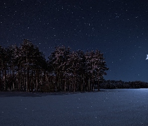 Zima, Gwiazdy, Księżyc, Drzewa, Noc