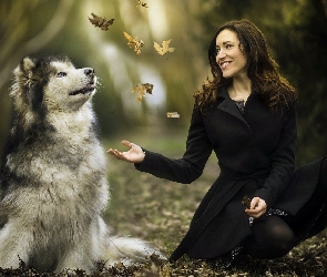 Liście, Kobieta, Pies, Alaskan malamute