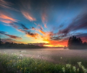 Laponia, Finlandia, Niebo, Mgła, Drzewa, Pomarańczowe, Łąka