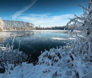 Zima, Trawy, Jezioro, Drzewa