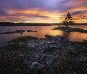 Norwegia, Drzewo, Zachód słońca, Skały, Jezioro