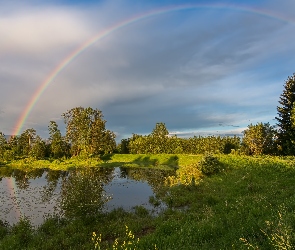 Jezioro, Tęcza, Drzewa