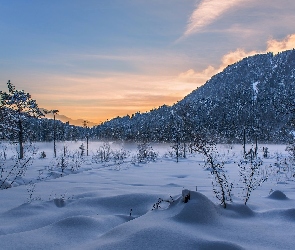 Zima, Śnieg, Drzewa, Góry