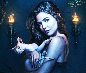 Sfinks doński, Kot, Serial, Danielle Campbell, The Originals, Kobieta