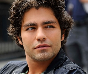 Adrian Grenier, Aktor