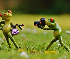 Śmieszne, Pozowanie, Żabki, Fotograf