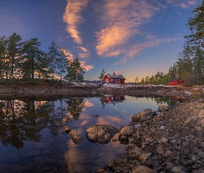 Ringerike, Drzewa, Dom, Jezioro Vaeleren, Norwegia