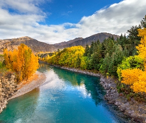 Nowa Zelandia, Queenstown, Drzewa, Góry, Jesień, Rzeka Shotover