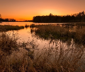 Rzeka, Zachód słońca, Drzewa, Trawa